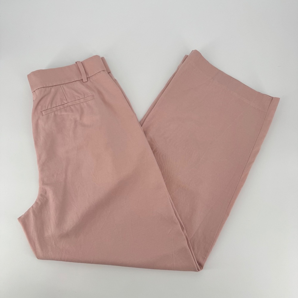 Madewell Slouchy Straight Trousers Pink Tencel Cotton Linen Pleated Pants Size 6